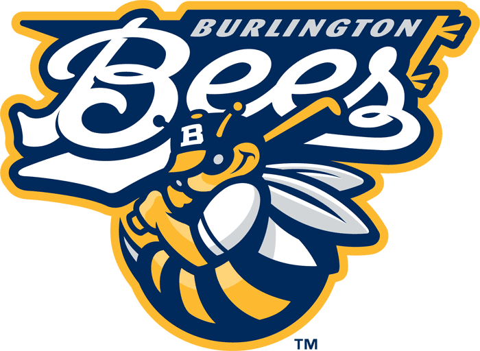 Burlington Bees 2007-Pres Primary Logo iron on paper